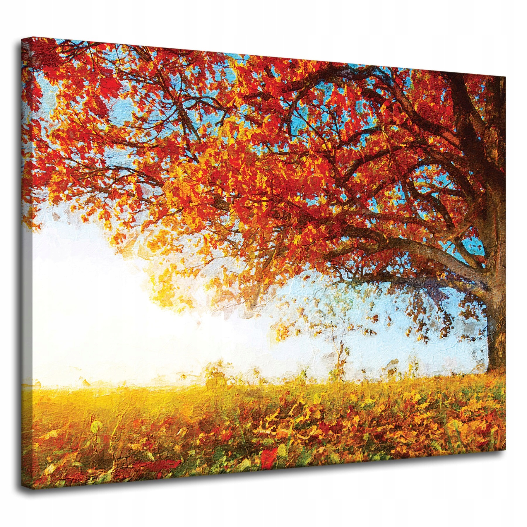 Obraz na plátně Krásný Strom Červené Listy Podzim 100x80 cm