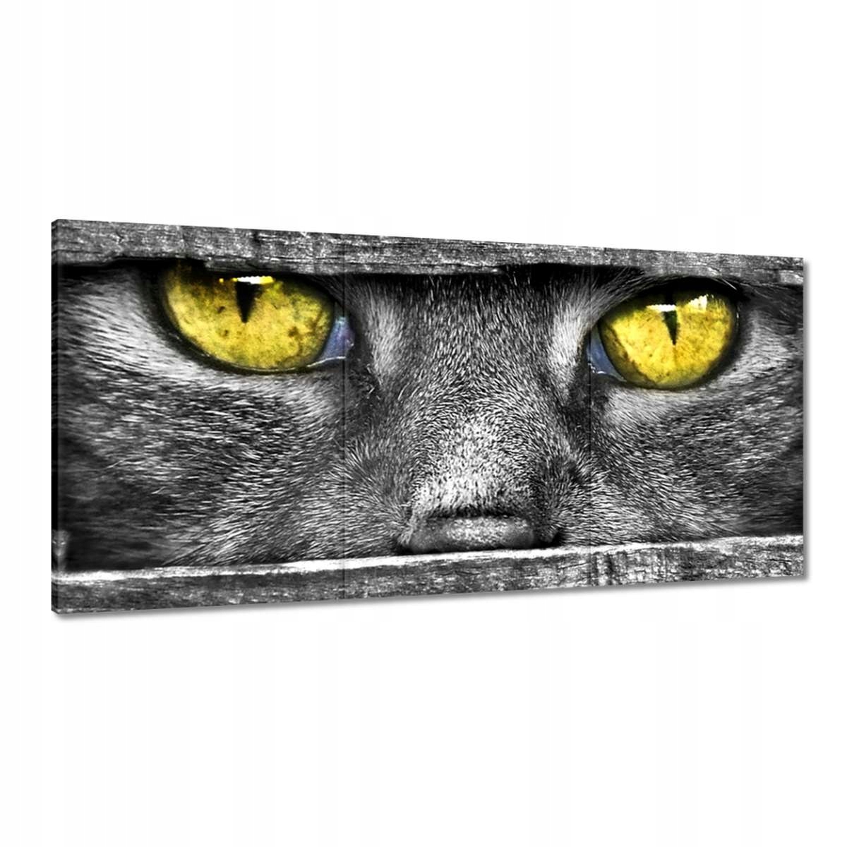 Obrazy 180x90 Mačací pohľad Oči Oko
