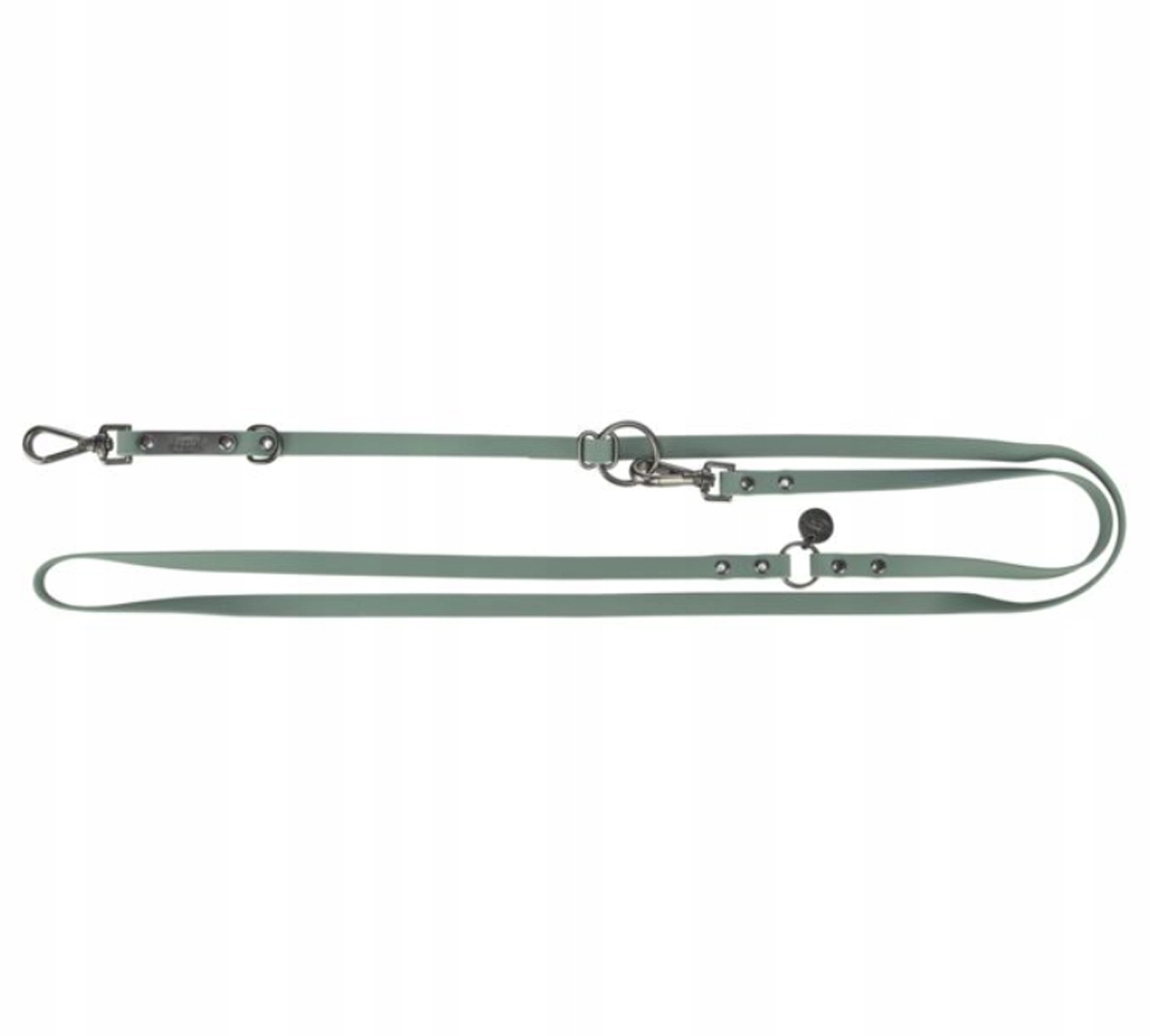 Levně CityStyle, vodítko, pro psa, šalvějové, Pvc, S–m: 2.00 m/13 mm