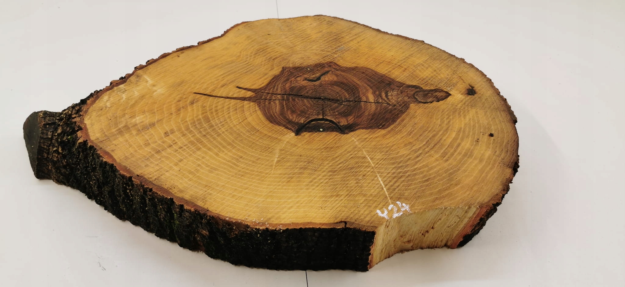 Plaster Jesionowy 57x50 cm Stolik Kawowy Blat Długość 57 cm