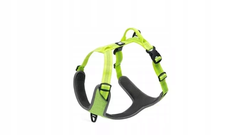Szelki Guard Dla Psa Truelove Lumen S 46-56 CM