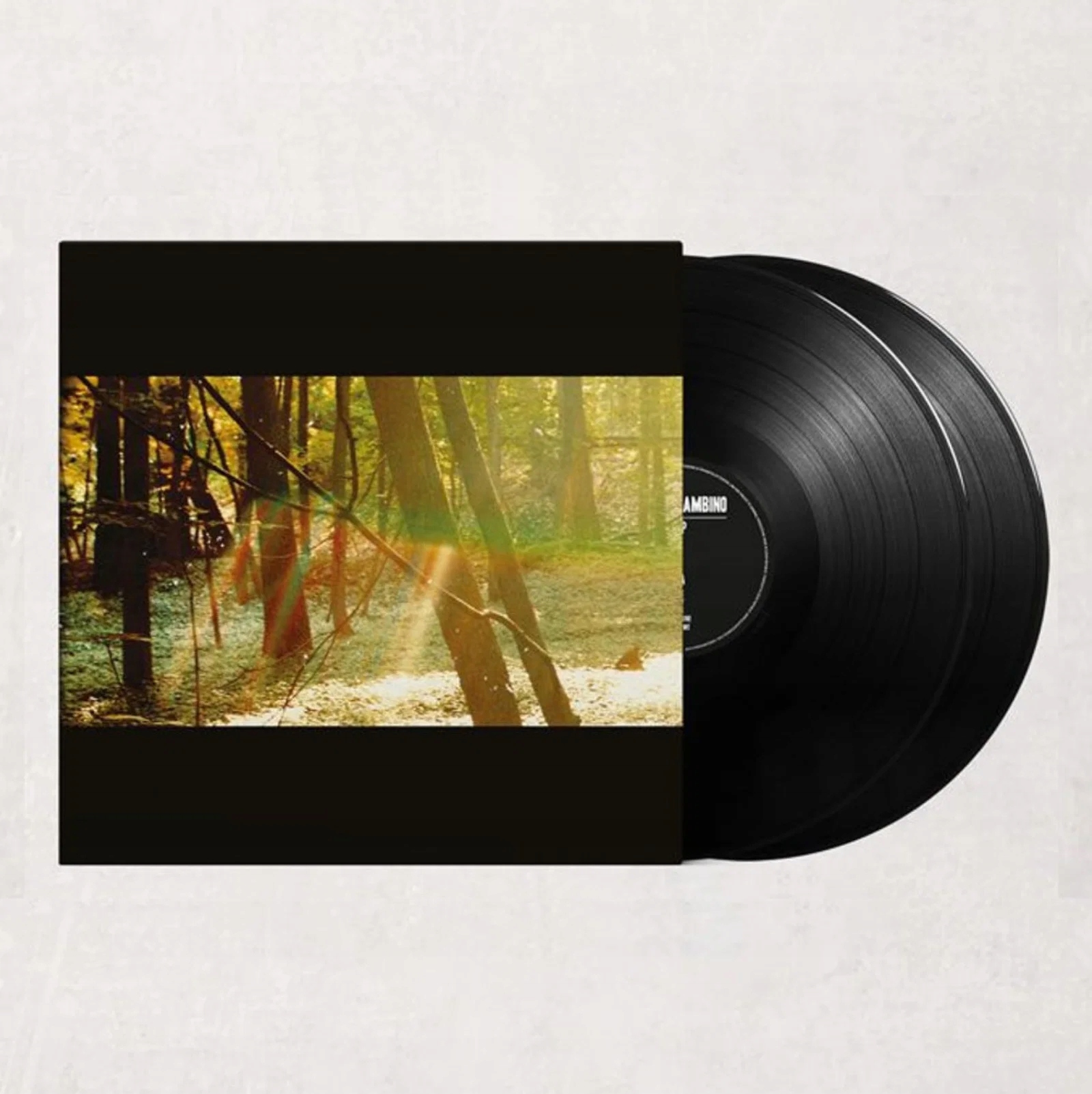 Childish Gambino: Camp 2Vinyl (lp)
