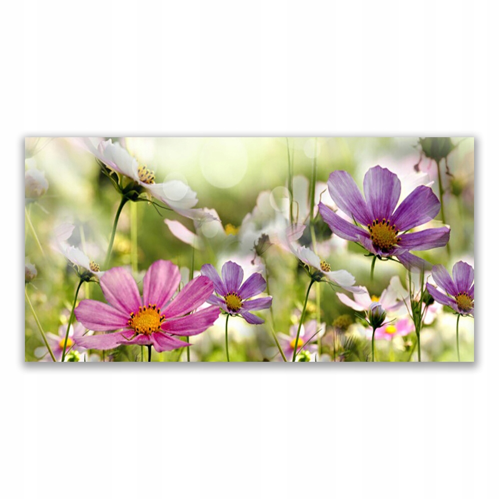 

Obraz akryl wiszący 120x60 Kwiaty Roślina Natura