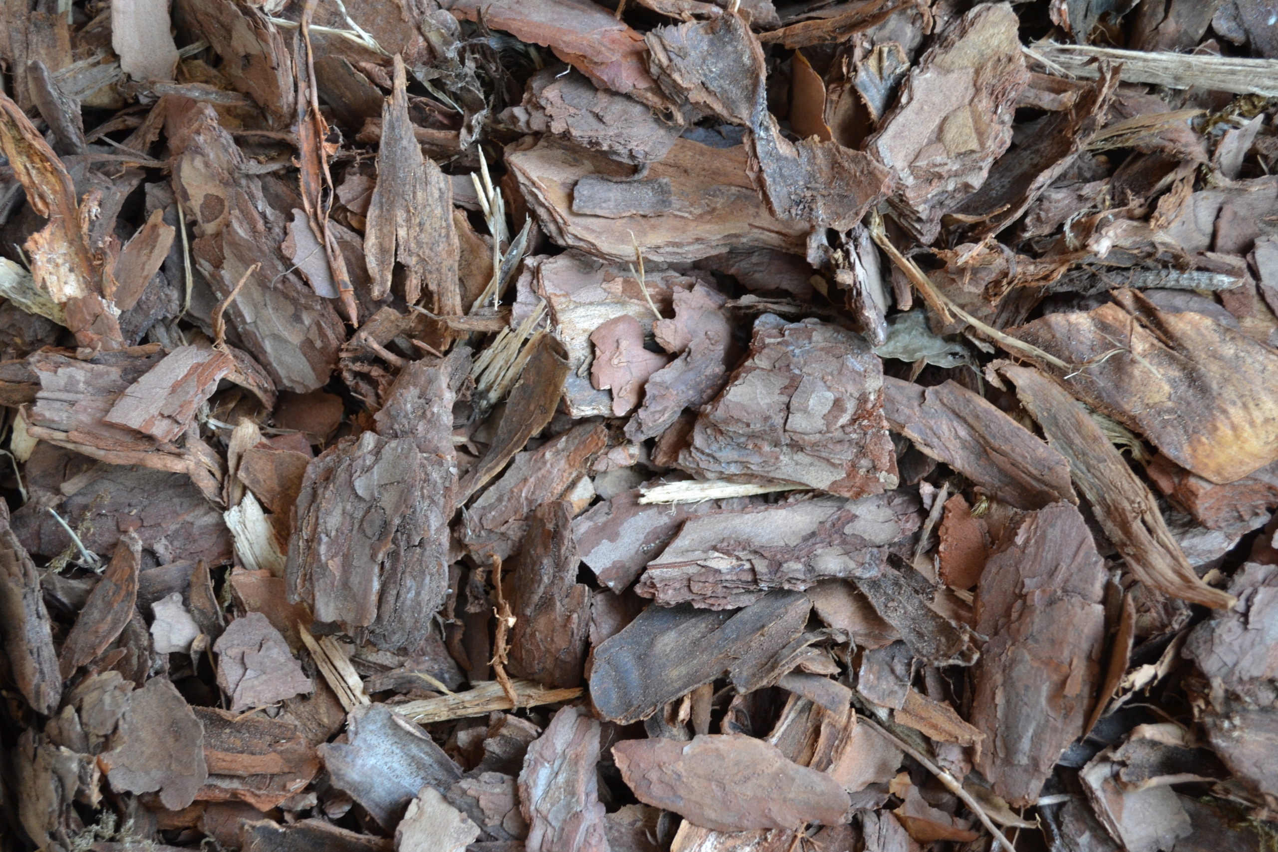 Kora Sosnowa Przesiewana Średnia 80 l Kod producenta 5904204125215