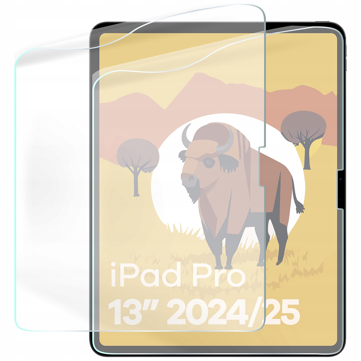 Fólie napodobující papír Bizon pro iPad Pro 13" 2025 2024, 2 ks