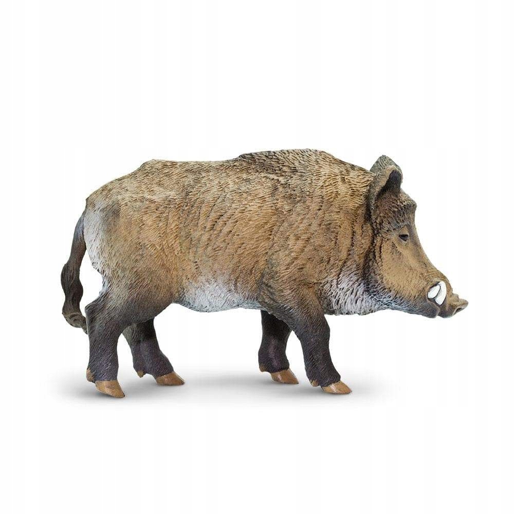 

Dzik Boar Safari Ltd. 224229