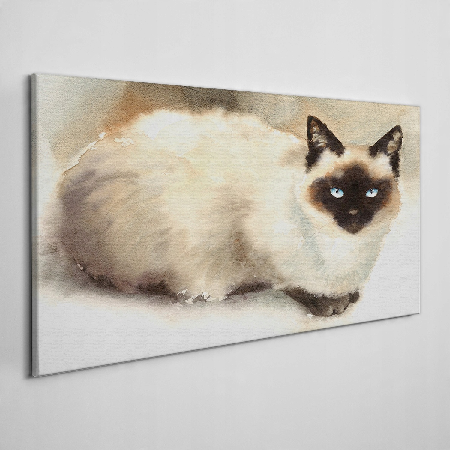 

Obraz na płótnie na ramie Zwierzę kot 120x60 cm