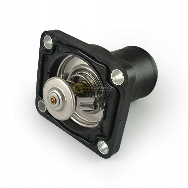 24811044A1 - TermostatMF 1000 4325 4325A 4370 4370A-простой