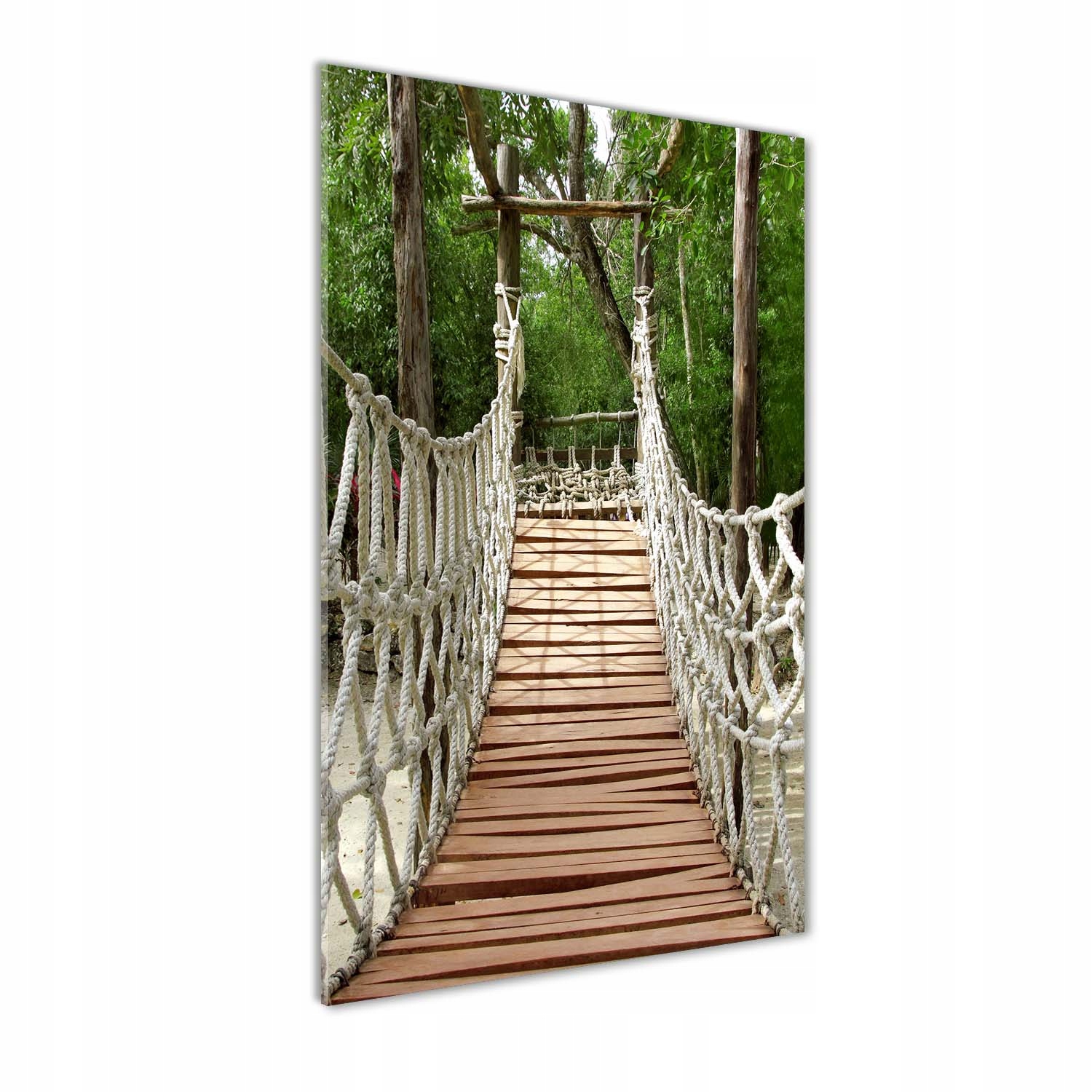 

Foto obraz szkło hartowane Most linowy 50x100 cm