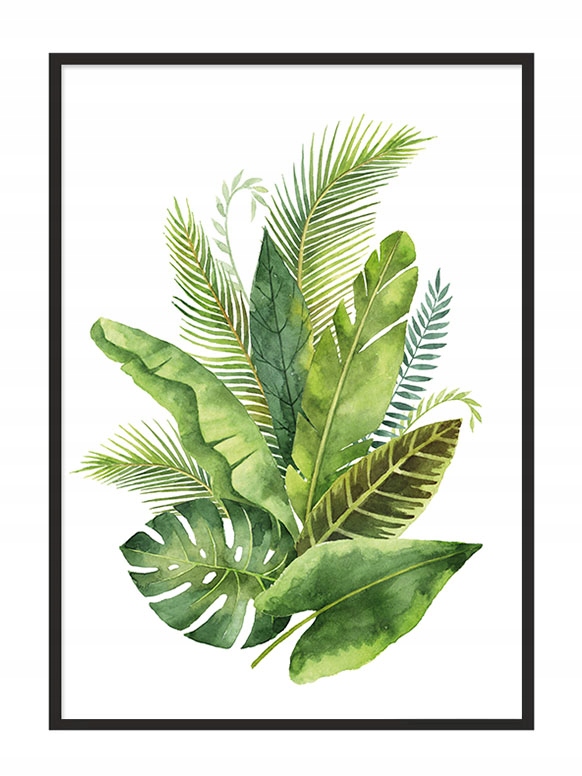 

Obraz Plakat W Ramie 43x33 cm Liście P717