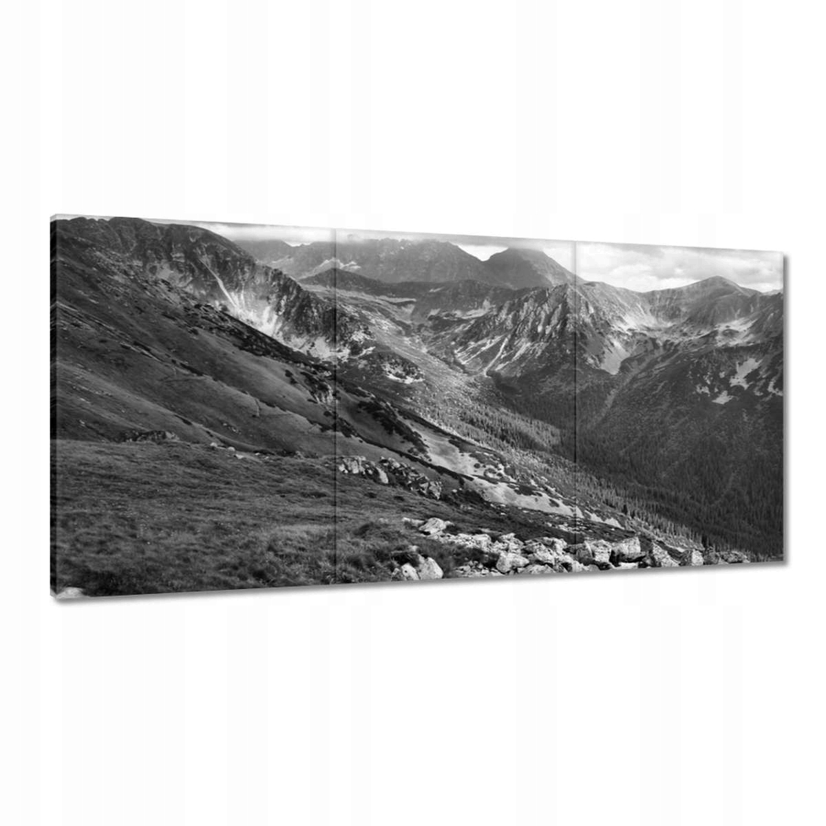 Obrazy 180x90 Tatry Poľské hory Pohľad