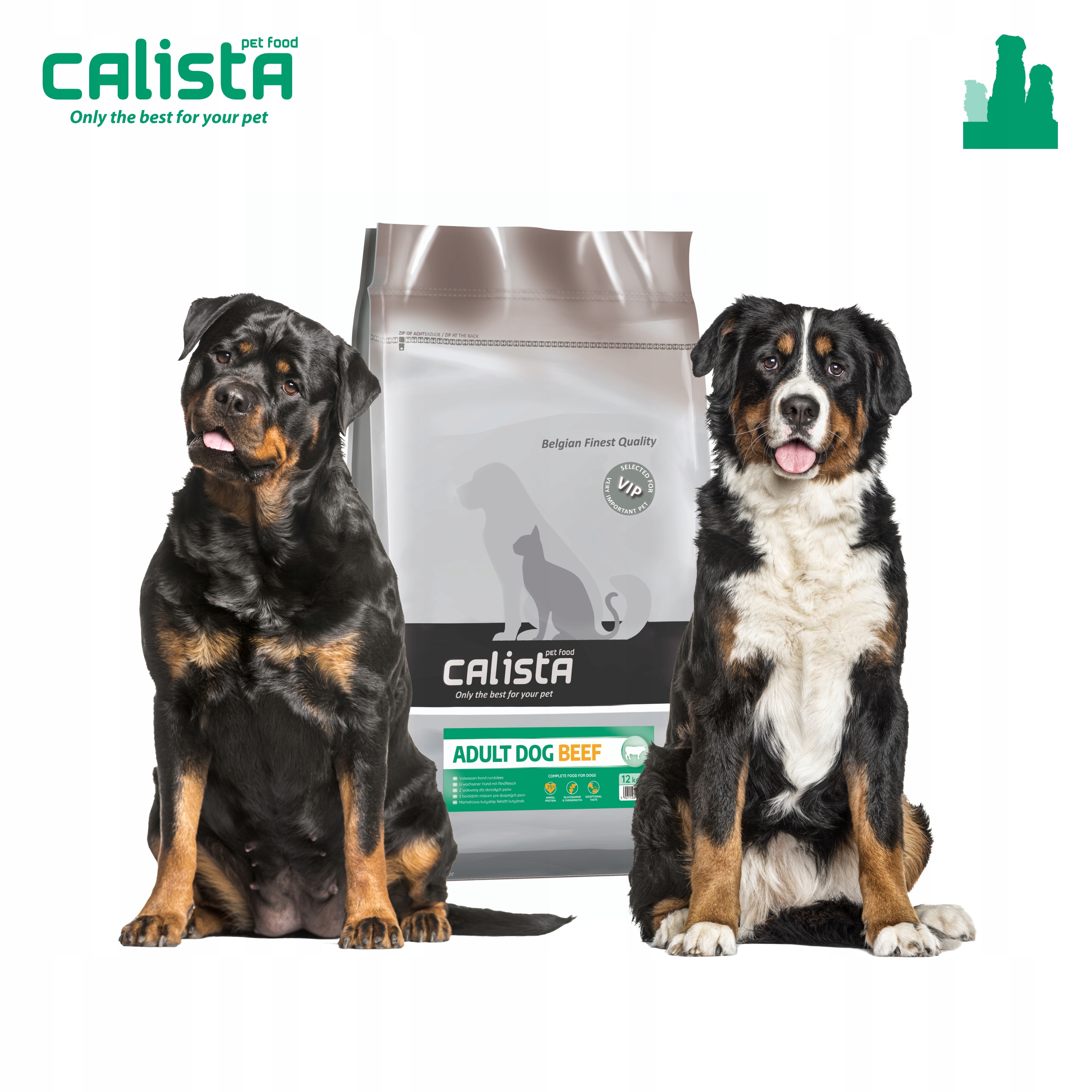 Levně Calista Suché Krmivo Pro Psa Hovězí Maso 12 Kg Ovčák Labrador Golden Border