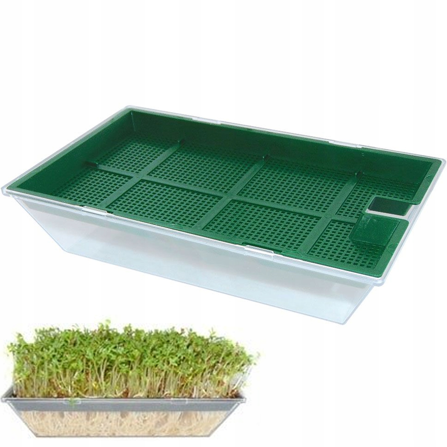 

Artgos Kiełkownica Pojemnik Na Nasiona Kiełki