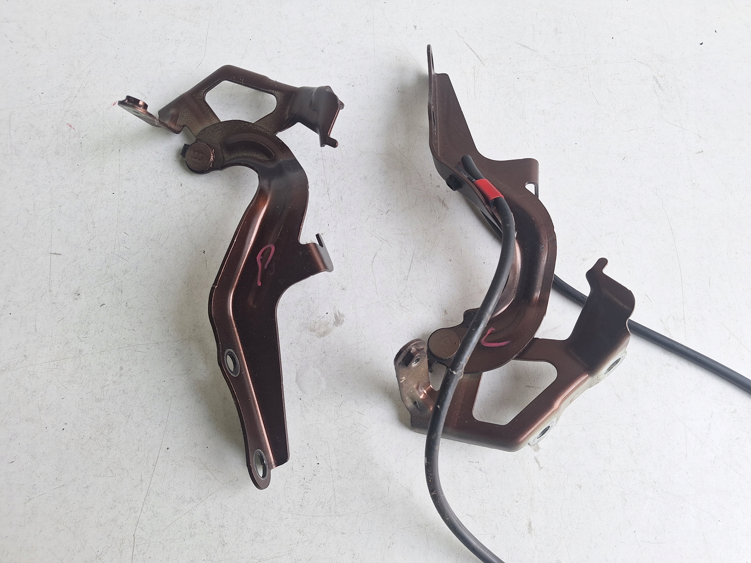 TOYOTA SIENNA IV 2022-> hinge bonnets left