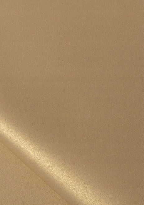 

Papier Ozdobny Wizytówkowy Metalizowany 250g 20ark