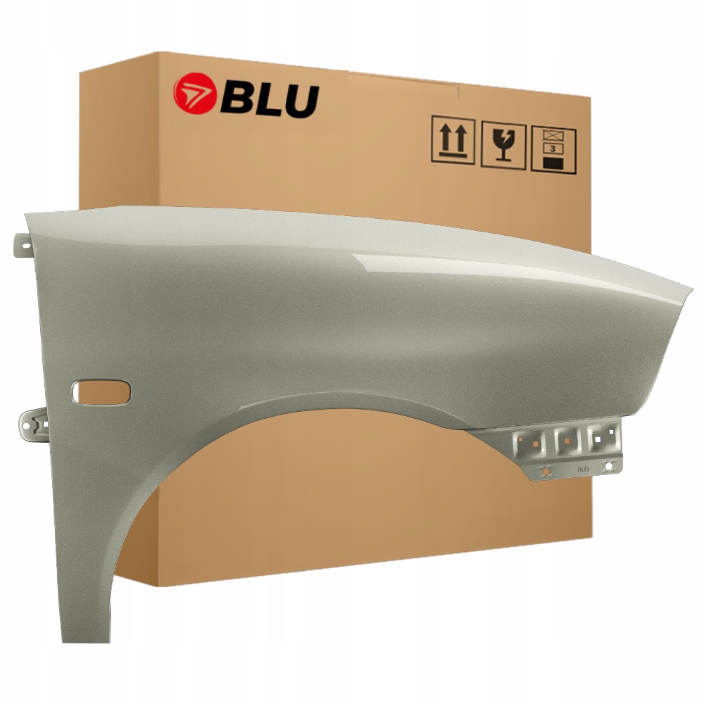 Blatník Blu Seat Ibiza Cordoba III 3 6L LS1R pravý zlatý 02-08 přední pozink