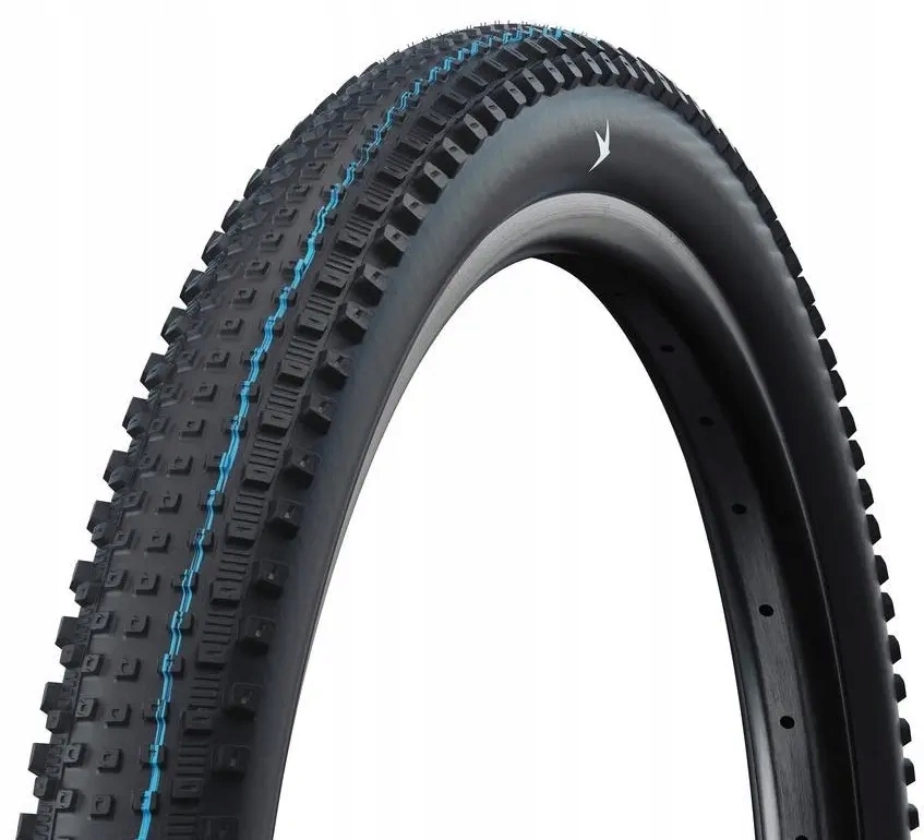 Pneumatika Schwalbe Rick XC 29x2.25 rolovací černá Evolution Speedgrip Addix