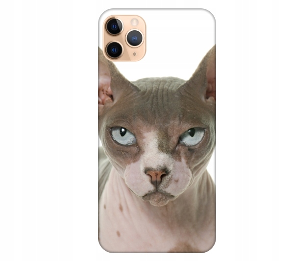 

Etui pokrowiec do iPhone 11 Pro Max Kot sfinks kot