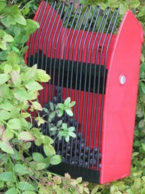 Zbierak podbierak zbieraczka do jagód borówek