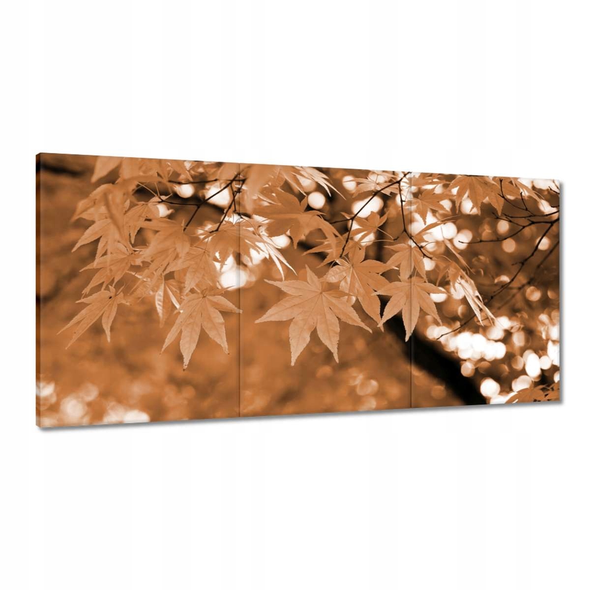 Obrazy 180x90 Sepia Jesenné listy