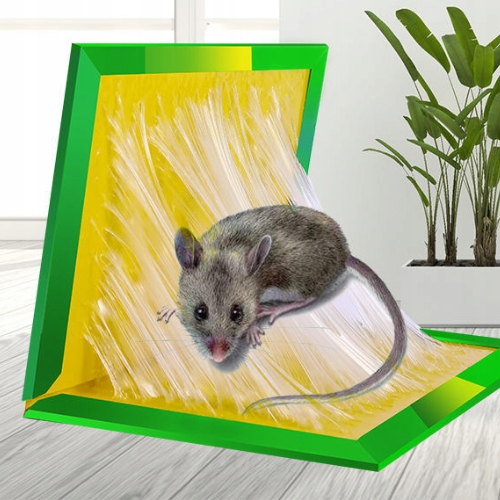 MYSZOŁAPKA LEP ŁAPKA PUŁAPKA NA MYSZY KLEJOWA 10X Marka Mawe