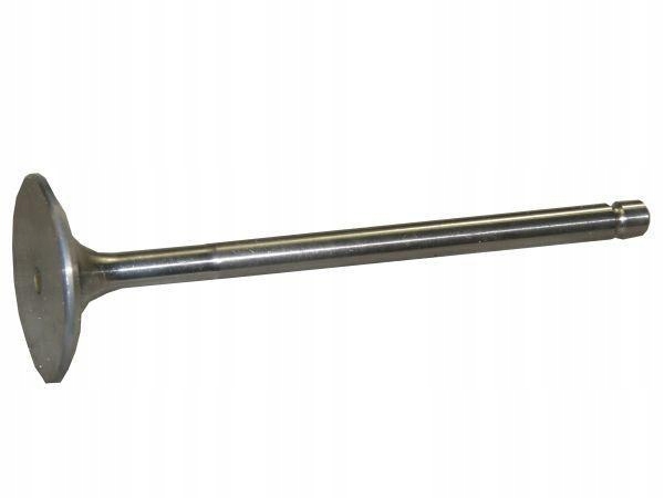 PL607909P - Впускной клапан парадный Бизон