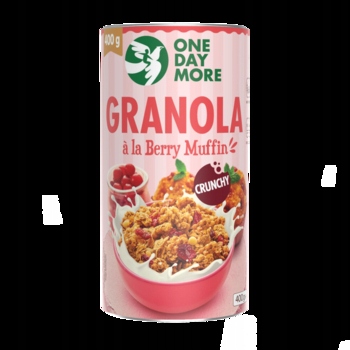 Levně 6x 400g One Day More granola s příchutí borůvkového muffinu Karton