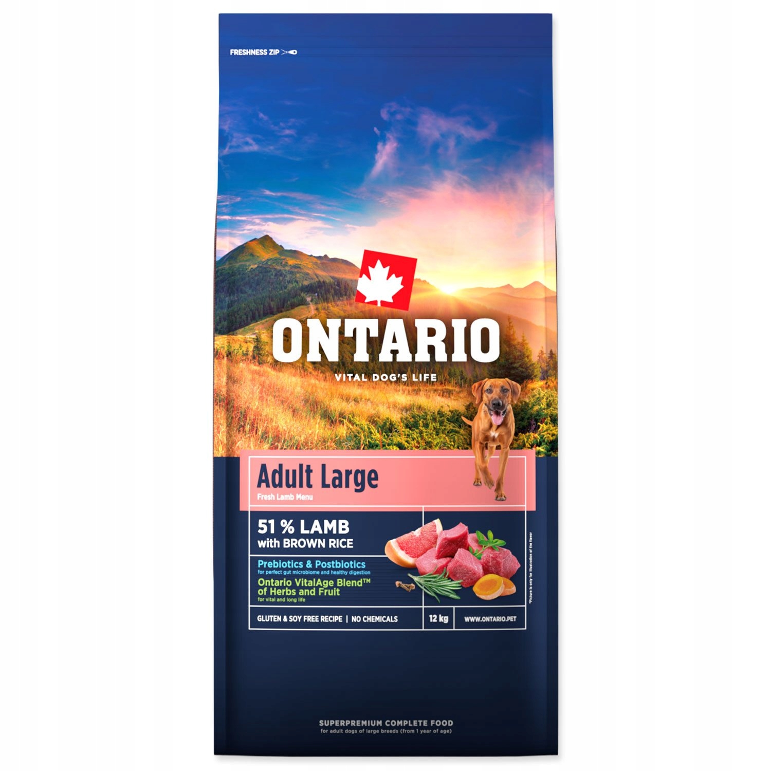 Levně Krmivo Ontario Adult Large Lamb & Brown Rice 12kg