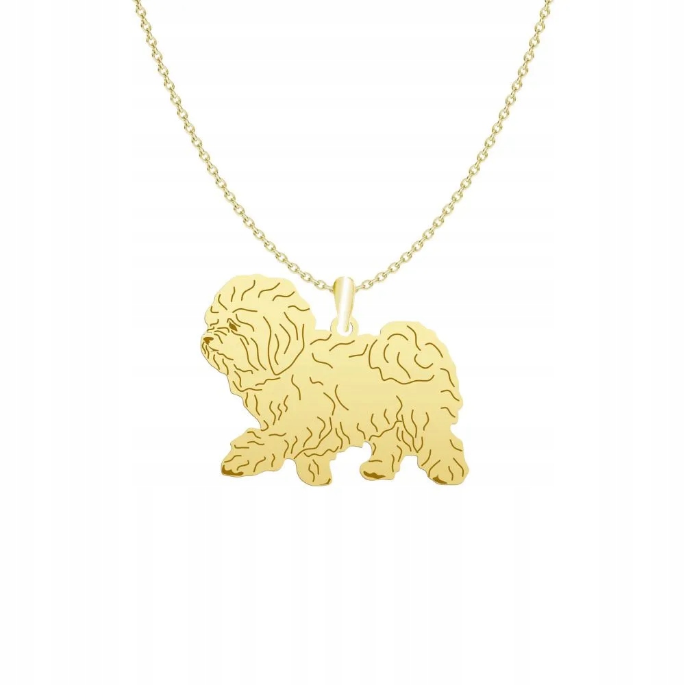 Zlatý náhrdelník s Boloňanem 925 Šperky jako Dárek Žena Gravírování