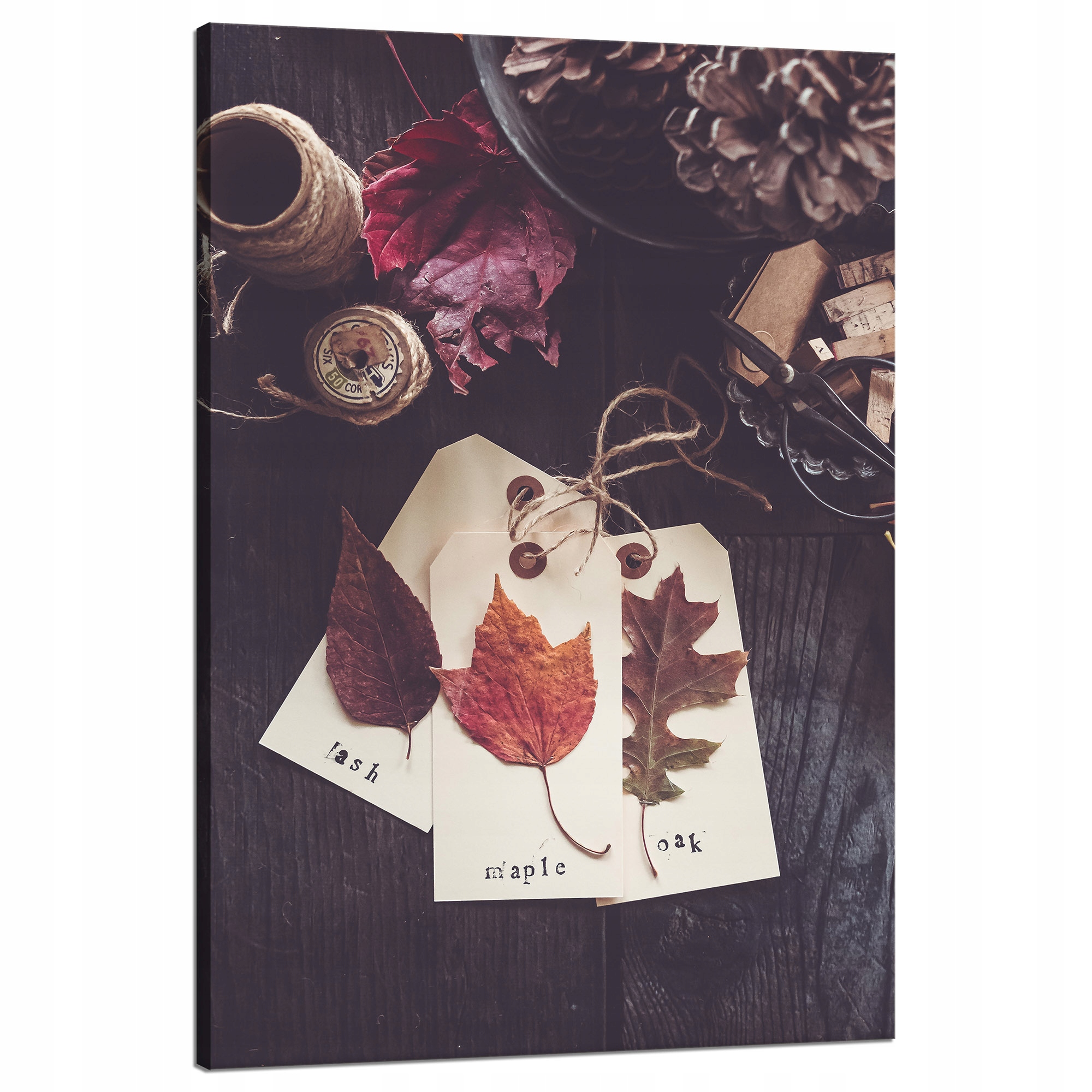 Obraz na plátně Listy dubu Retro Vintage 80x120