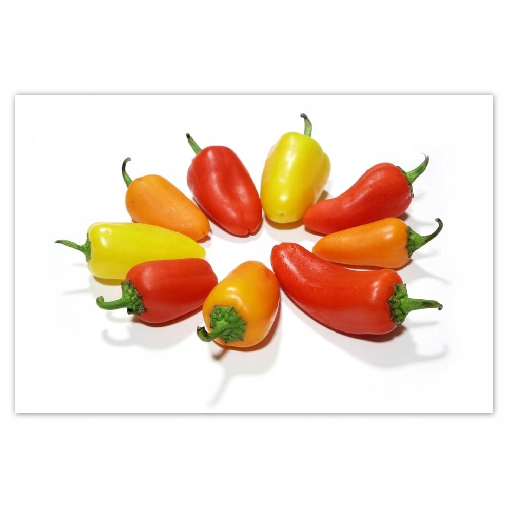

Plakat 93x62 Papryki Dekoracja kuchni