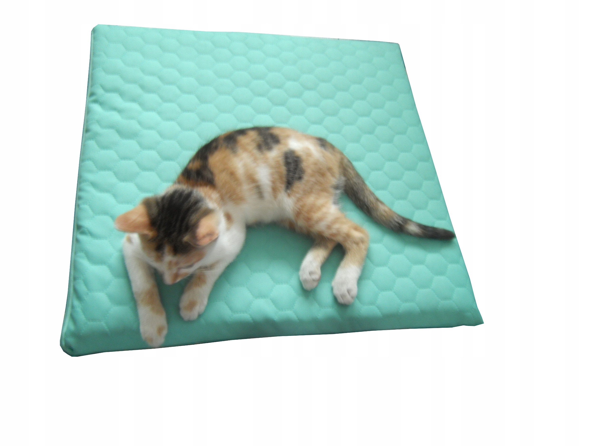 Levně Polštář Pro Kočku 80X75 CM 2 CM S 30 Vzory