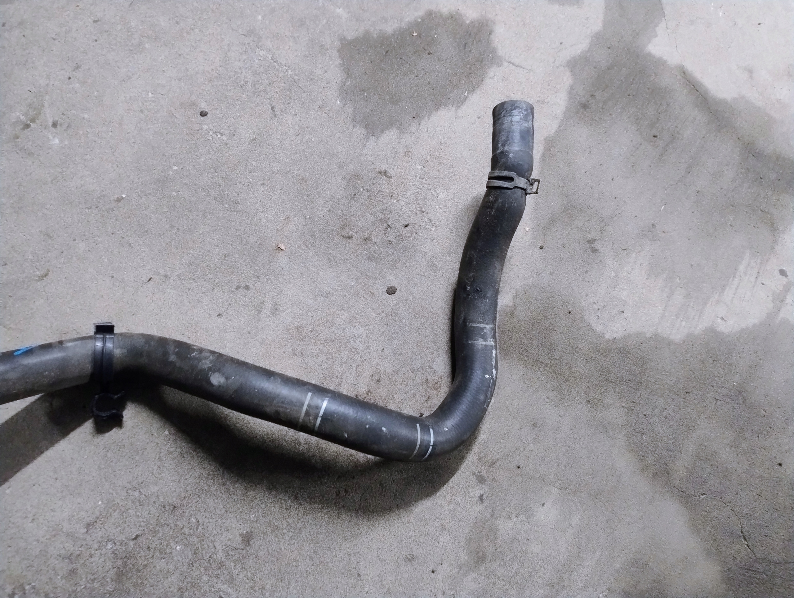 CRIJEVO PRIJENOS VODE FORD FOCUS MK3 CV61-8286-BB