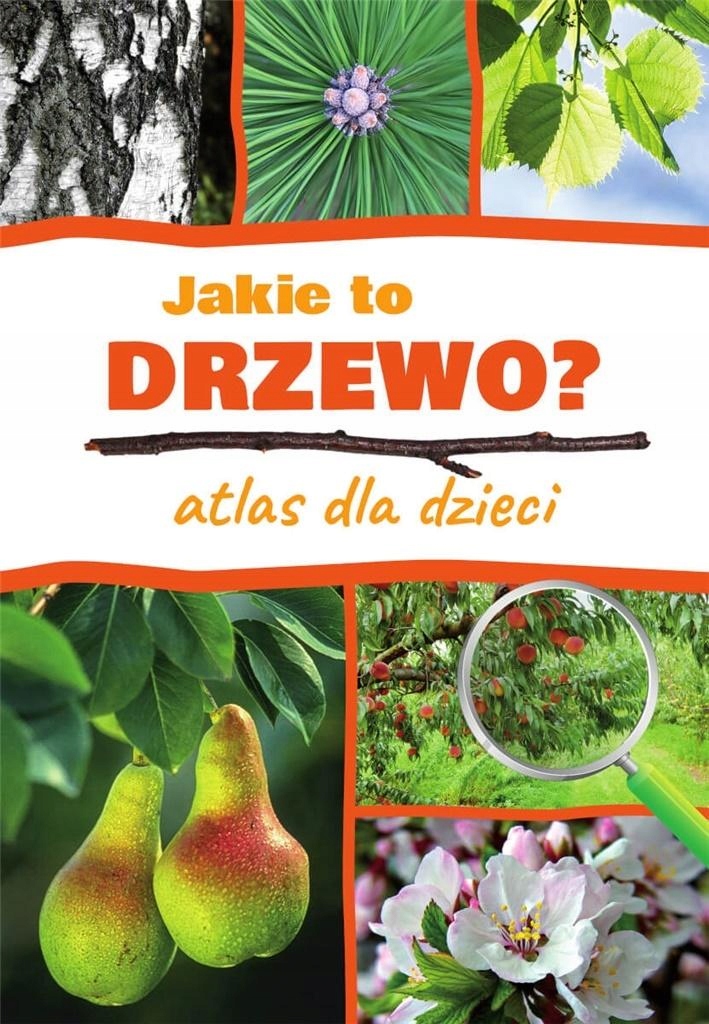 

Atlas Dla Dzieci. Jakie To Drzewo