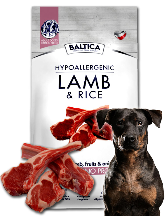 Levně Baltica Adult jehněčí s rýží M hypoalergenní suché krmivo pro psa 3 kg