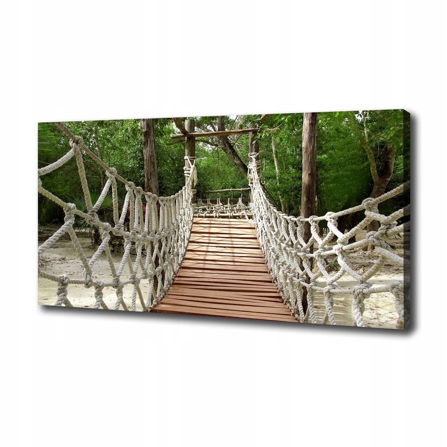 

Foto obraz canvas na ścianę Most linowy 100x50 cm