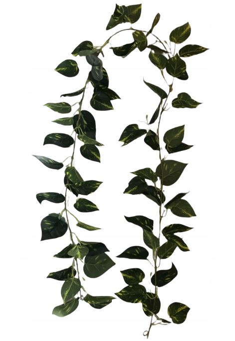 

Girlanda Potos bluszcz liście kwiat sztuczne 170cm