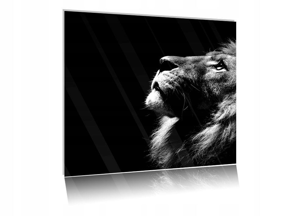 

Obraz szklany na szkle Lew 04 30x30