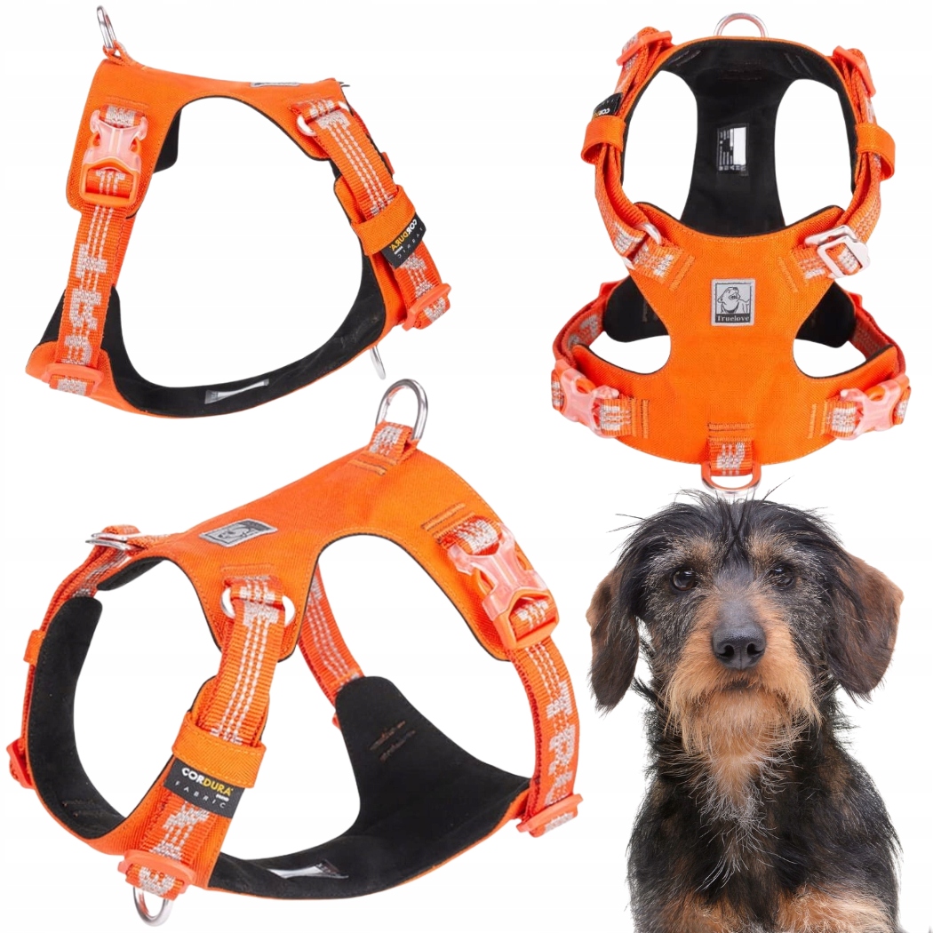 Obojky Pro Psa Voděodolné, Lehké Truelove Adventure Dog Oranžové