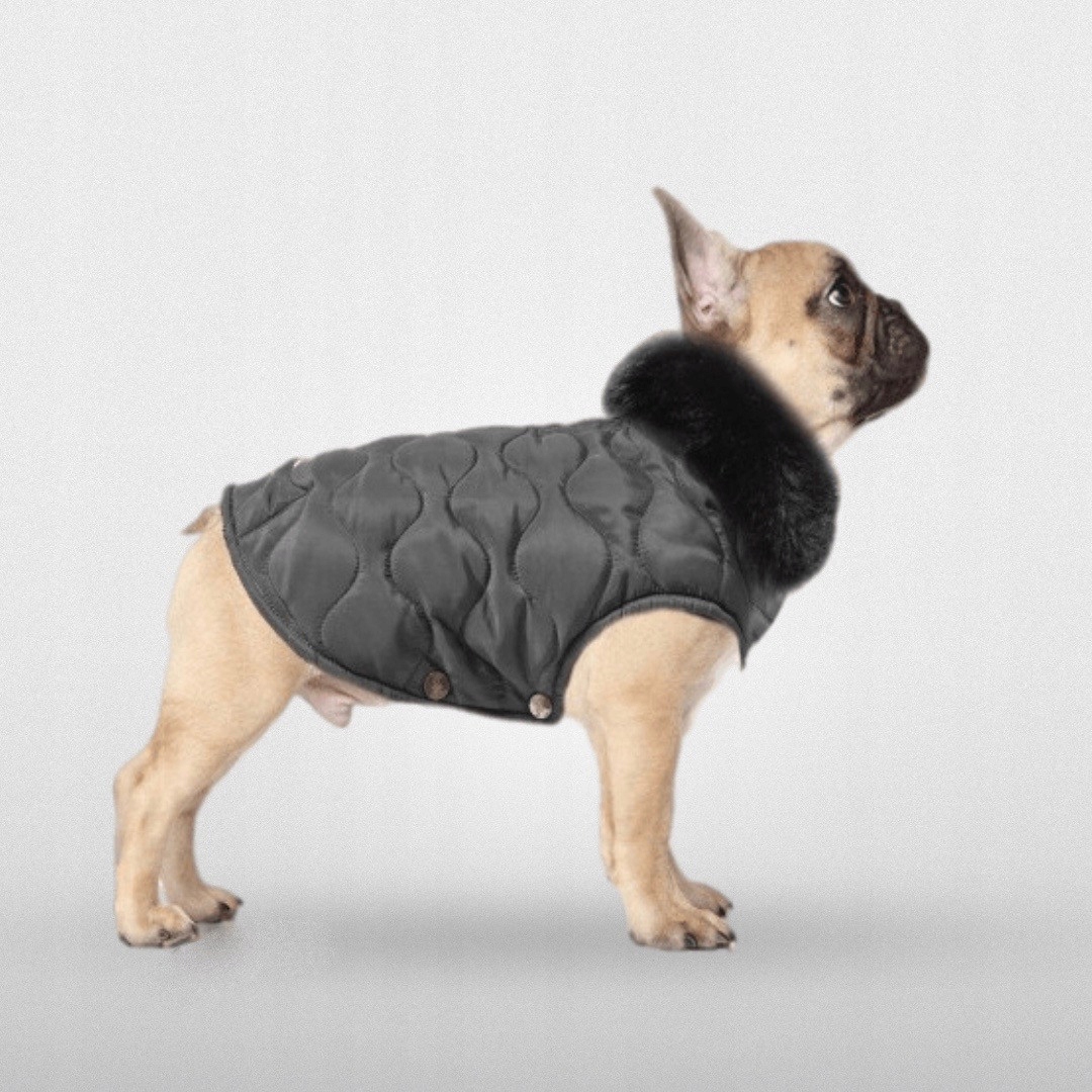 Zimní Péřová Bunda Pro Psa Šedá Milk&pepper Hortense T50A