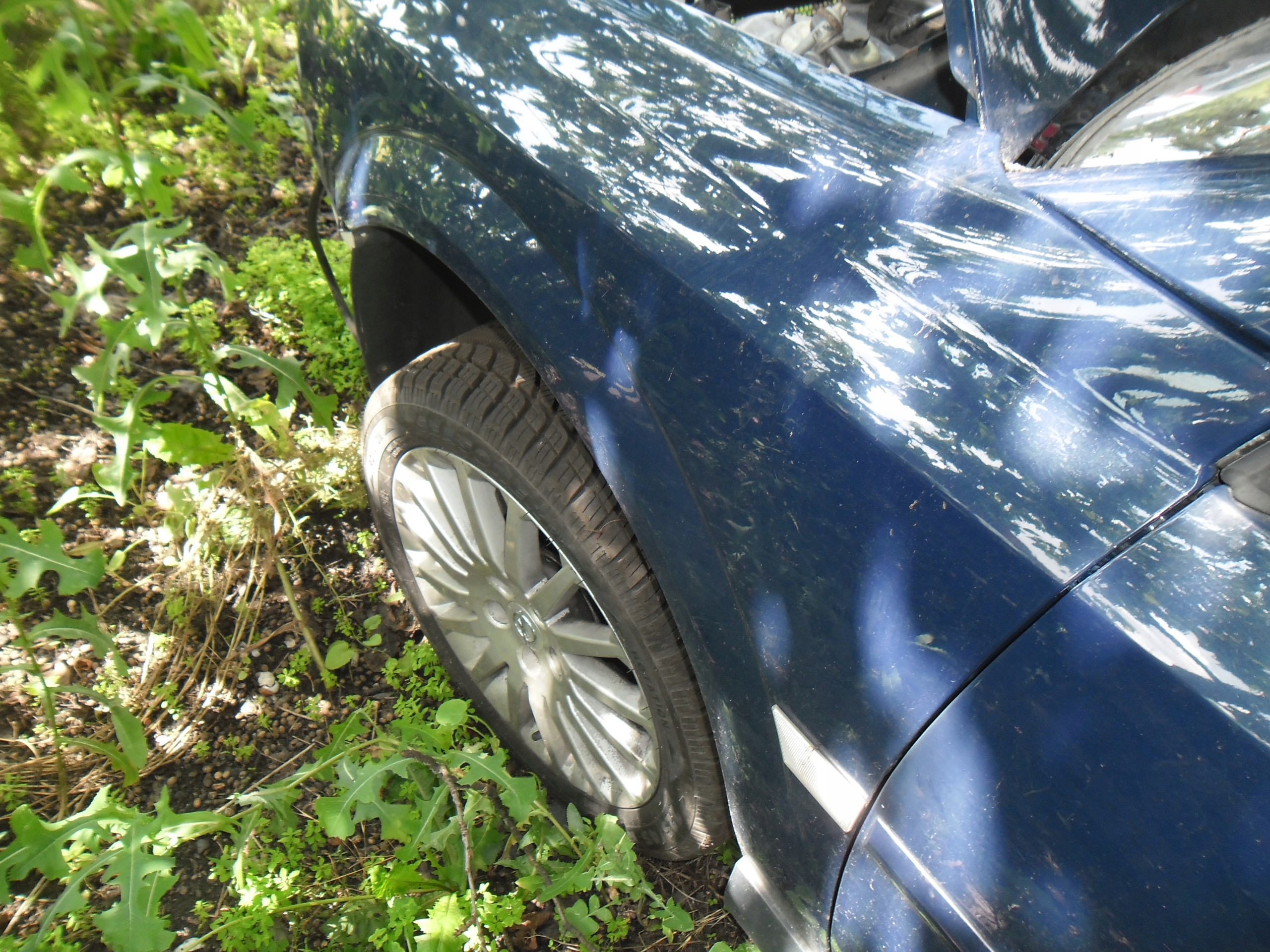 38f8358545b594e2f45c9a7e4e6b