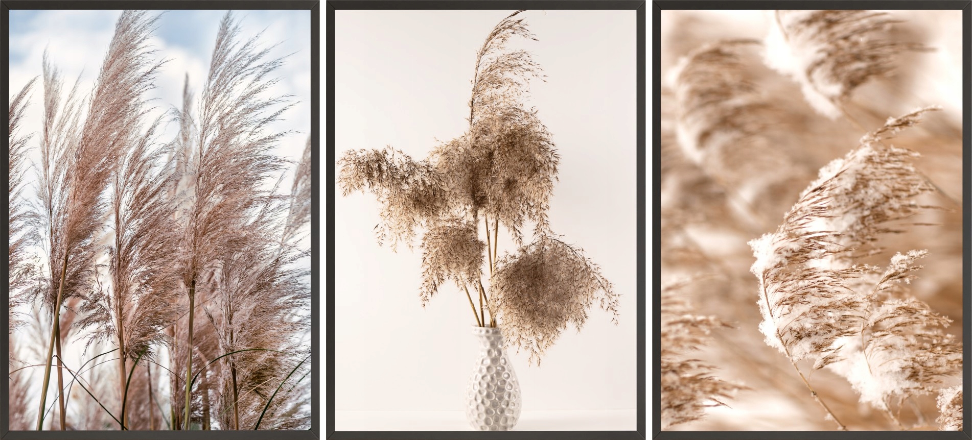 

Zestaw Plakatów Postery 3x 30x40 zboże ląka