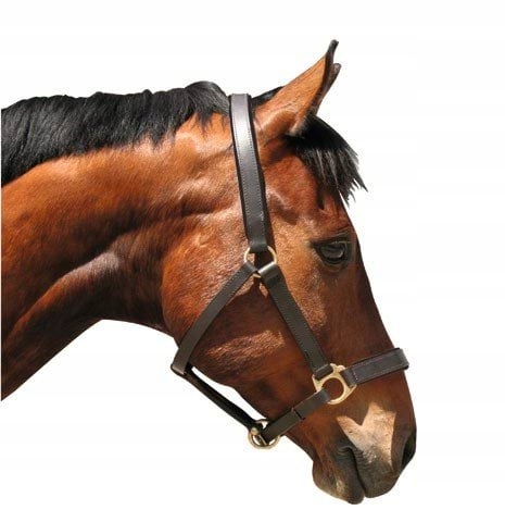 Světlomet Uzda Eko Kůže Pro Koně Hnědý Plný 3 Covalliero