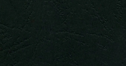 KARTON DELTA SKÓROPODOBNY A4 CZARNY (100) 407021