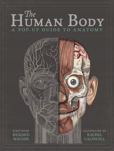 The Human Body: A Pop-Up Guide to Anatomy Walker