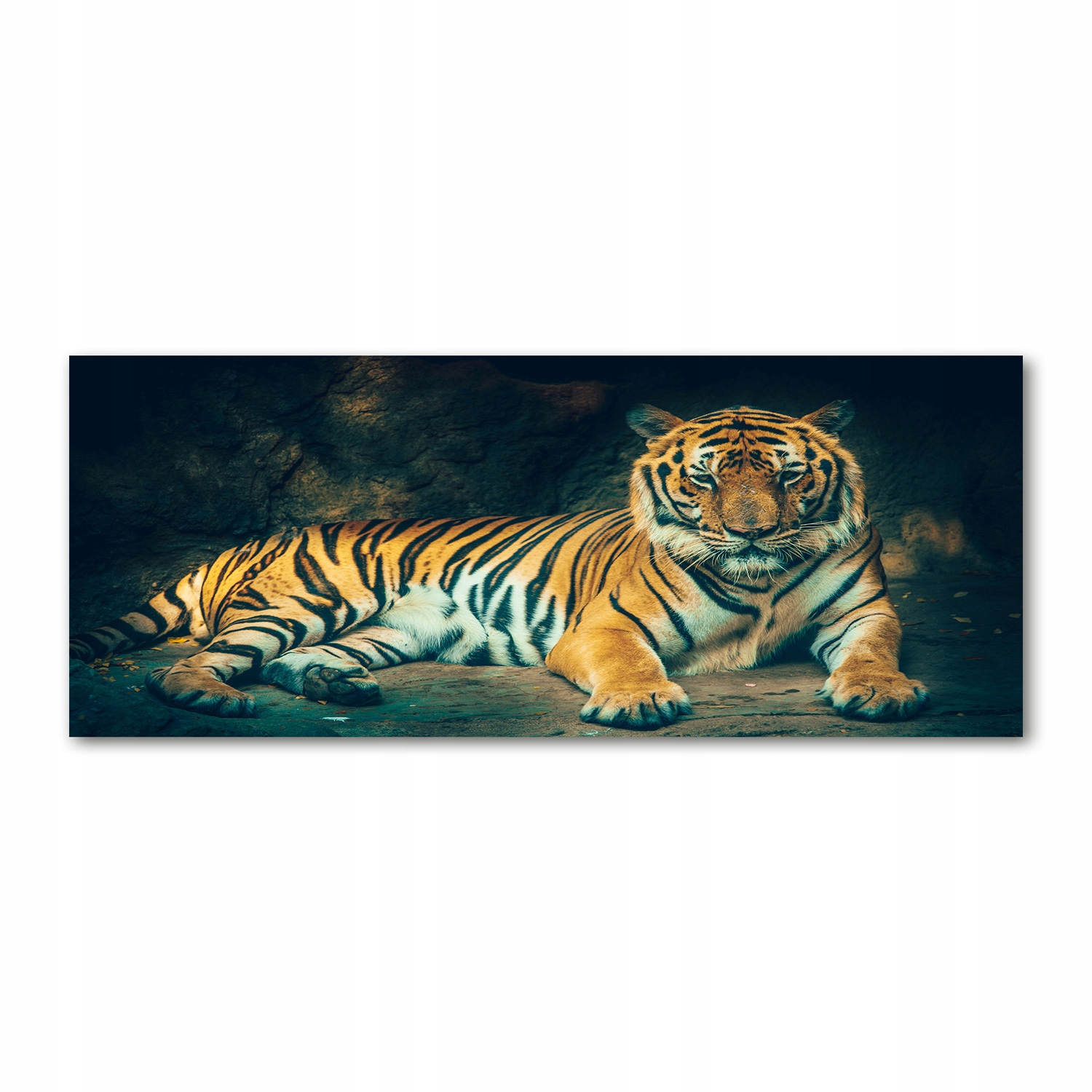 

Foto-obraz szkło akryl Tygrys w jaskini 125x50 cm