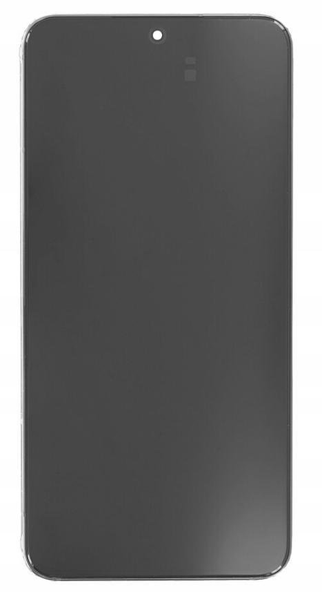 LCD displej Dynamic Amoled pre Samsung S906