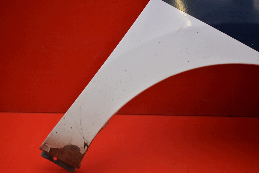 fender right front front BIALY DACIA DOKKER 12-17
