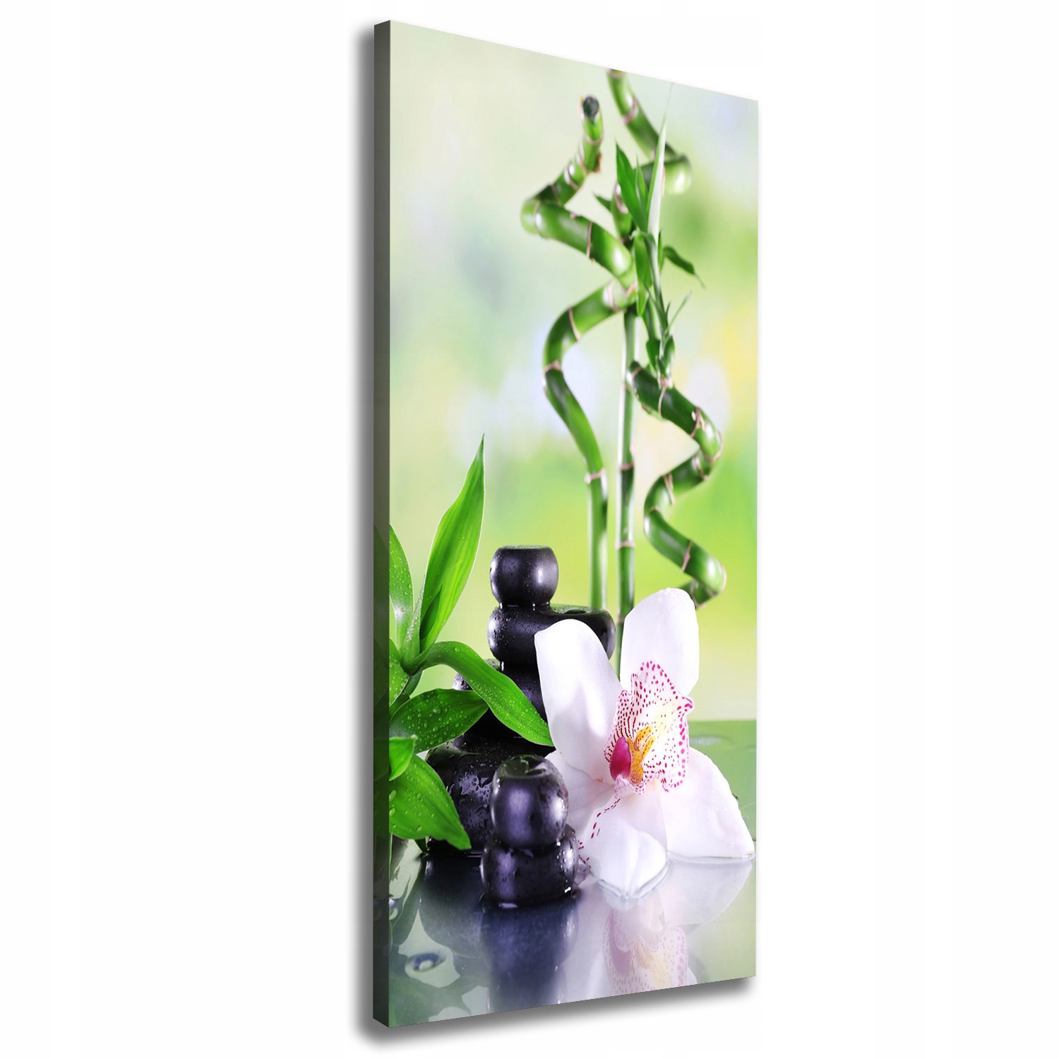 

Nowoczesny fotoobraz canvas na ramie Bambus 50x125