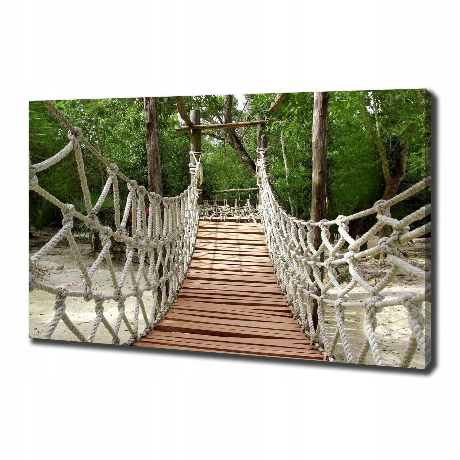 

Foto obraz canvas na ścianę Most linowy 100x70 cm